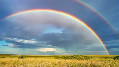 почему радуга имеет форму дуги