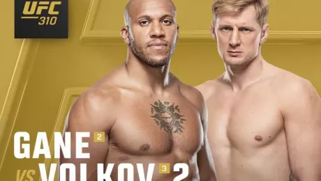 поединок UFC