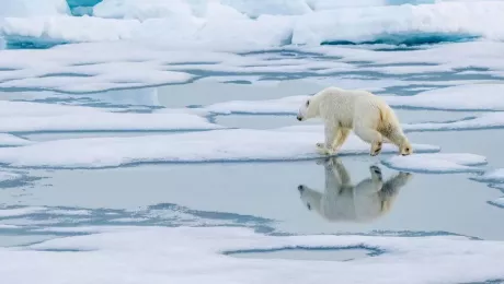 замерзание моря