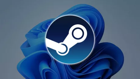 Steam статистика Windows пользователей