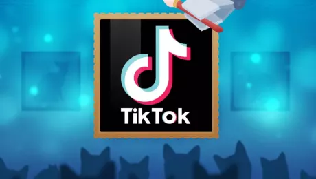 Перспективы TikTok и Perplexity AI