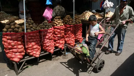 Решение Никарагуа выйти из ФАО