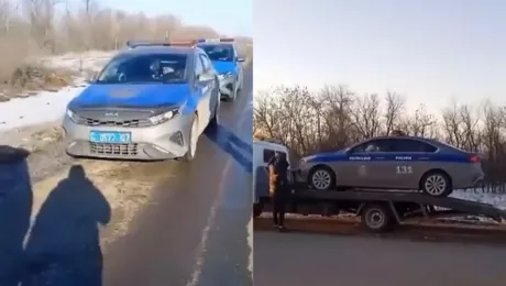 водитель Toyota