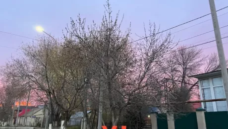 прогноз погоды Уральск