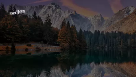 простые формы жизни