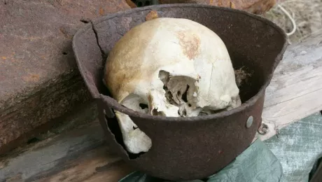 торговля человеческими костями