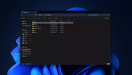 Windows 11 обновление KB5055523 inetpub