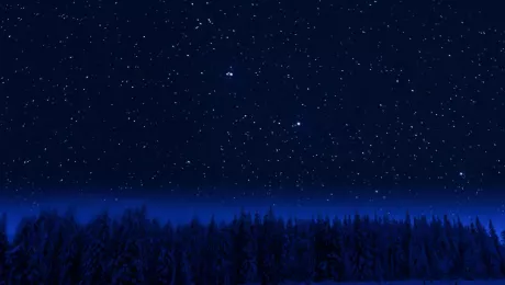 зимнее звёздное небо