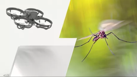 Дрон против комаров